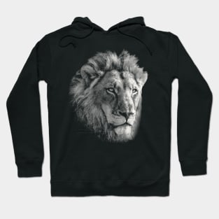 Lion Male Close-Up African Wildlife Hoodie